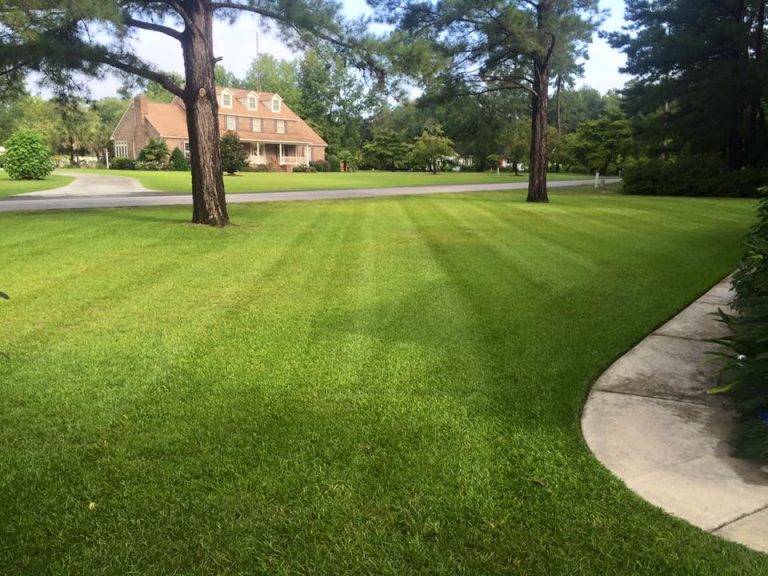 Lawn Care Services in Sumter, SC | Daniel's Lawn Care